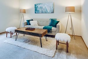 modern style with a southwestern design for area rugs
